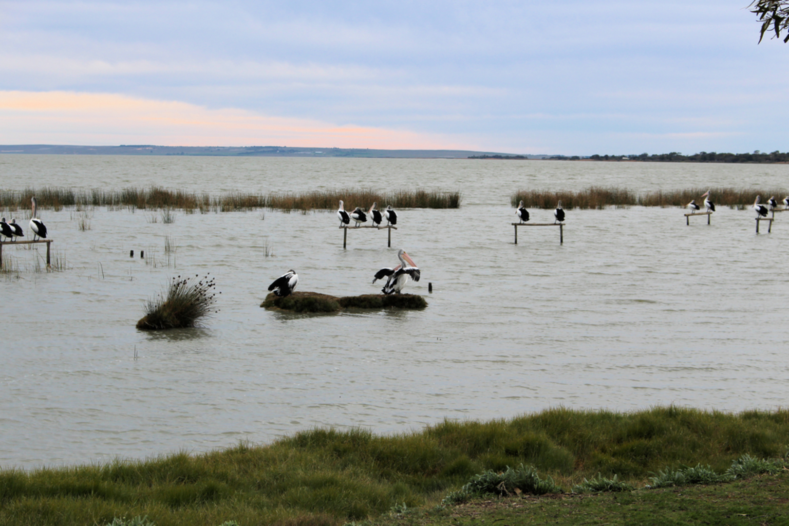 An image depicting the trail Scenic Loop Track and its surrounding area.