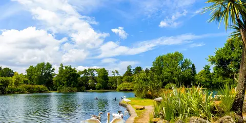 An image depicting the trail Western Springs Lakeside Park and its surrounding area.