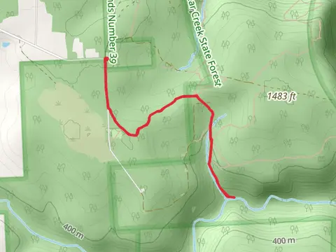 Bullion Run from Dewoody Road