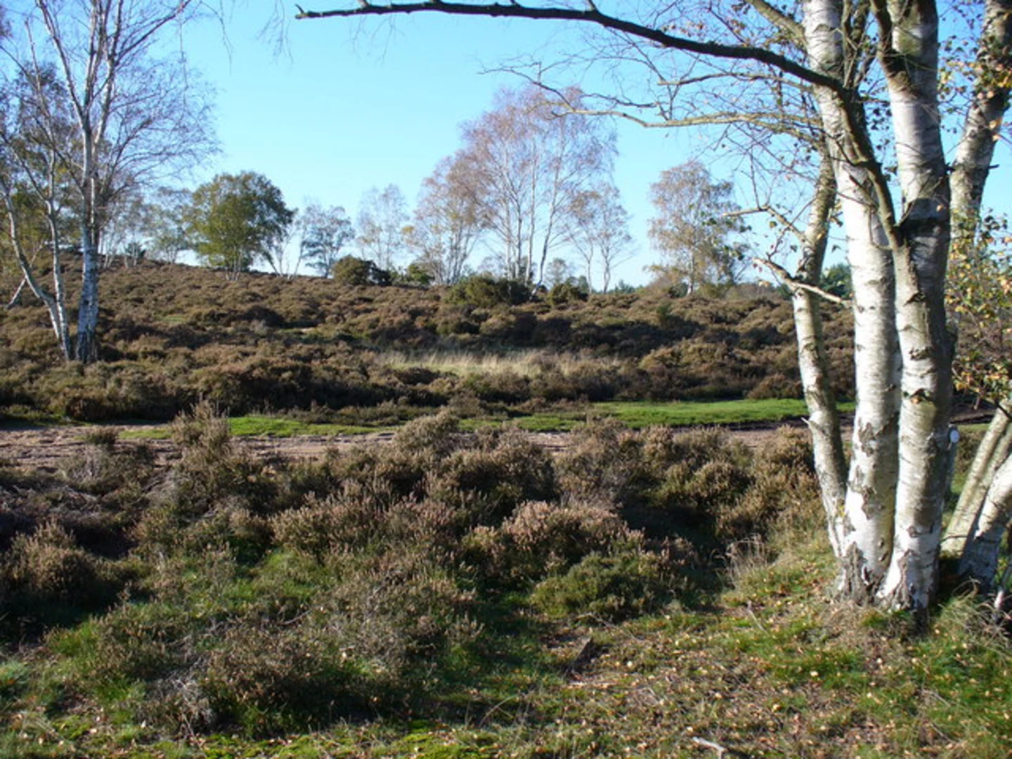 An image depicting the trail Yagden Hill and Stockbridge Pond Loop and its surrounding area.
