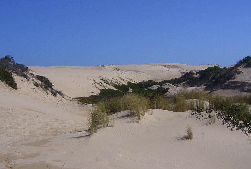 An image depicting the trail Coorong National Park and its surrounding area.