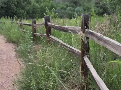 Cabin Canyon Loop Trail