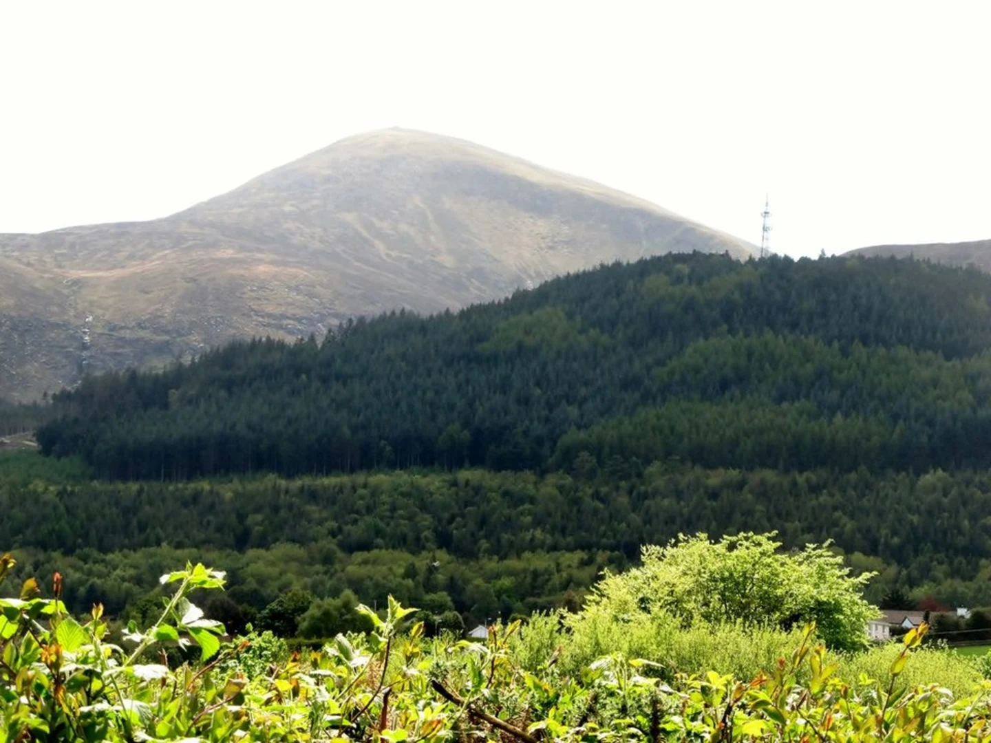 An image depicting the trail Slieve Donard and Milestone Mountain Loop Trail and its surrounding area.