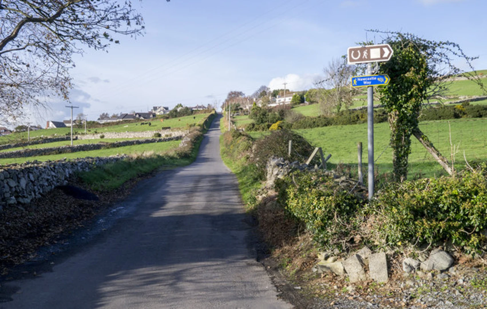 An image depicting the trail Bunkers Hill Walk and its surrounding area.