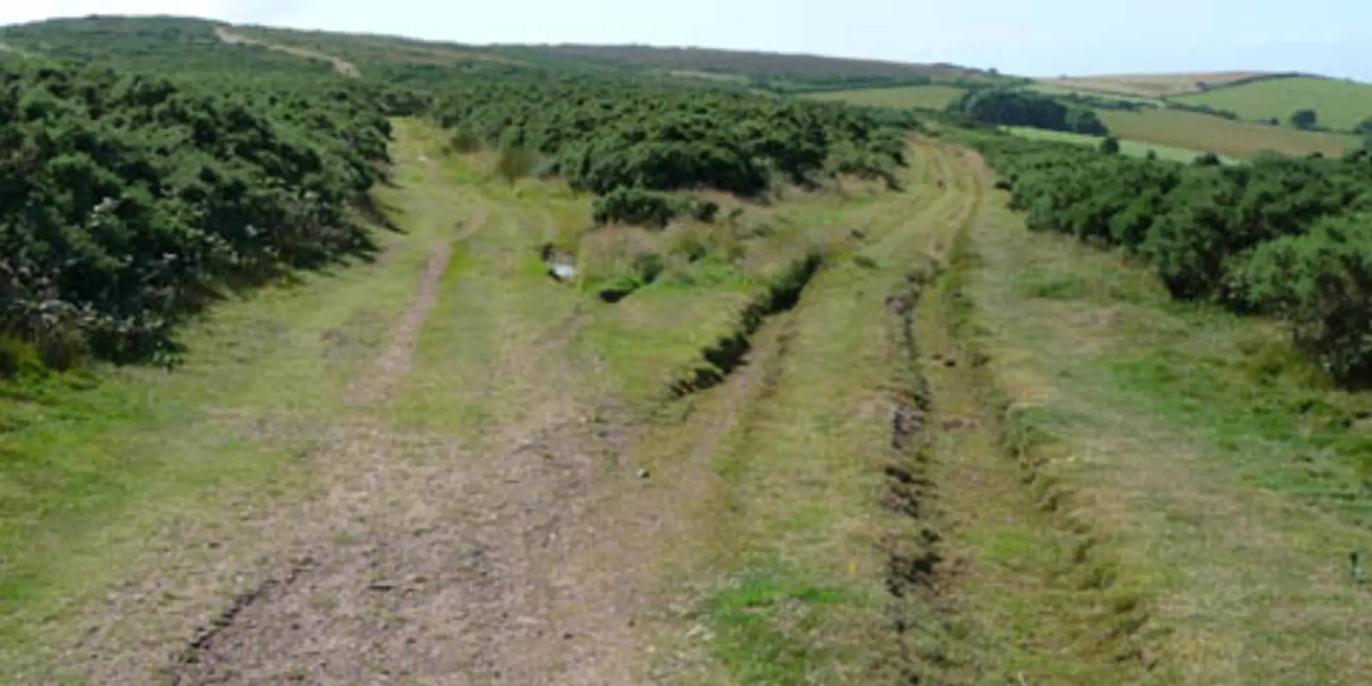 An image depicting the trail North Hill Tank Trail and its surrounding area.
