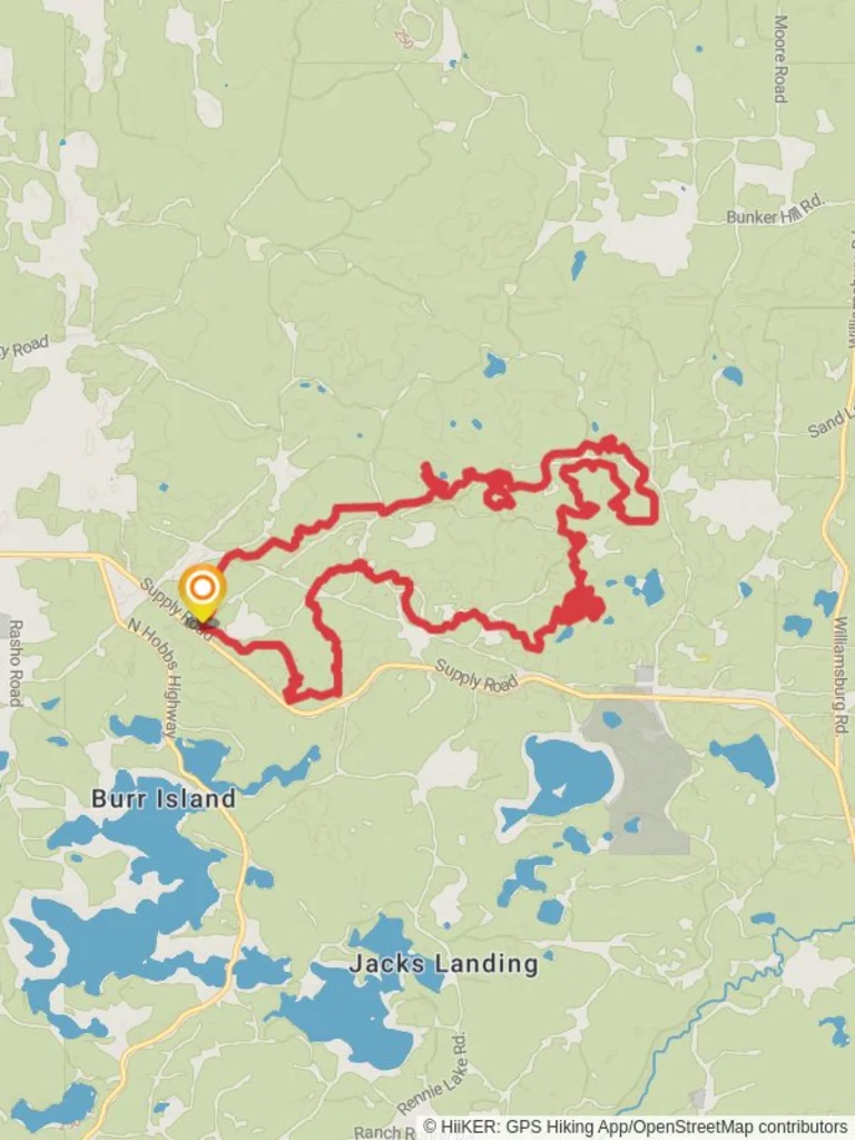 An image depicting the trail VASA Single Track - Blue and Orange Loop and its surrounding area.