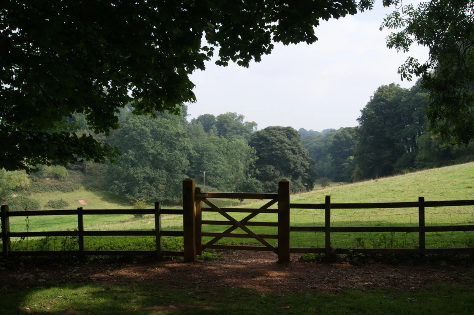 An image depicting the trail Fyne Court and its surrounding area.