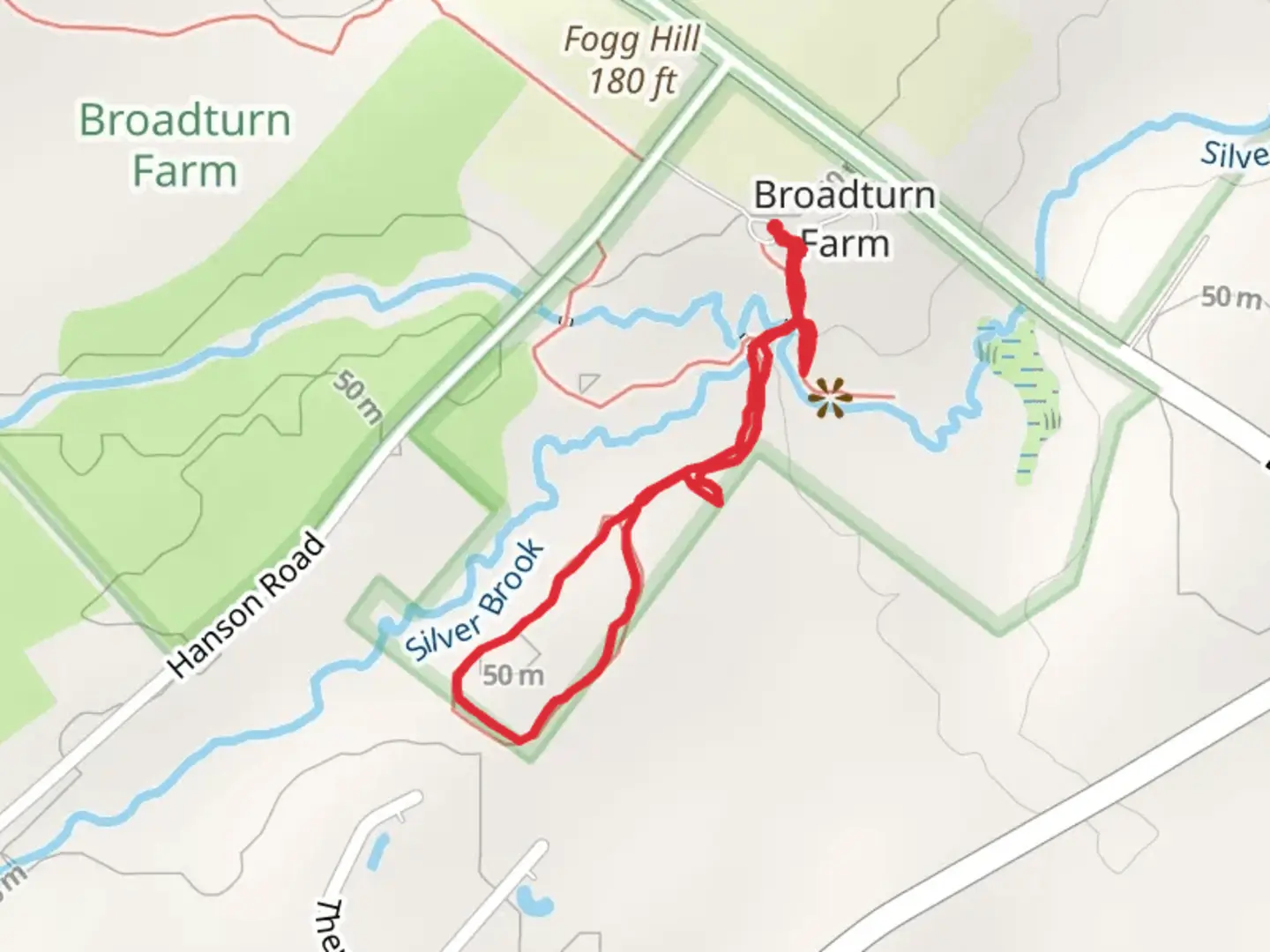 An image depicting the trail Silver Brook Loop and its surrounding area.