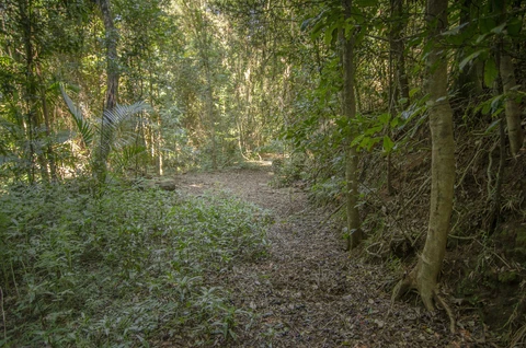 Mount Matheson Loop Walk