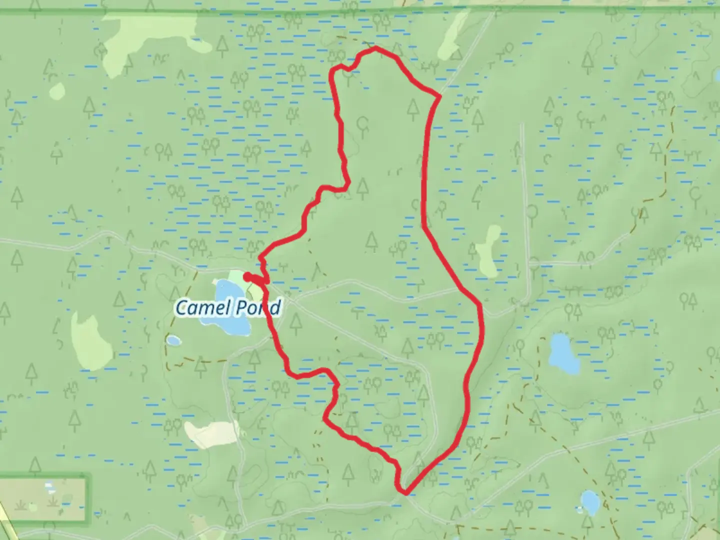 An image depicting the trail Florida and Trail of Lakes Loop Trail and its surrounding area.