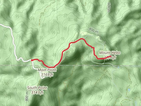 Mount Hebo via Pioneer-Indian Trail