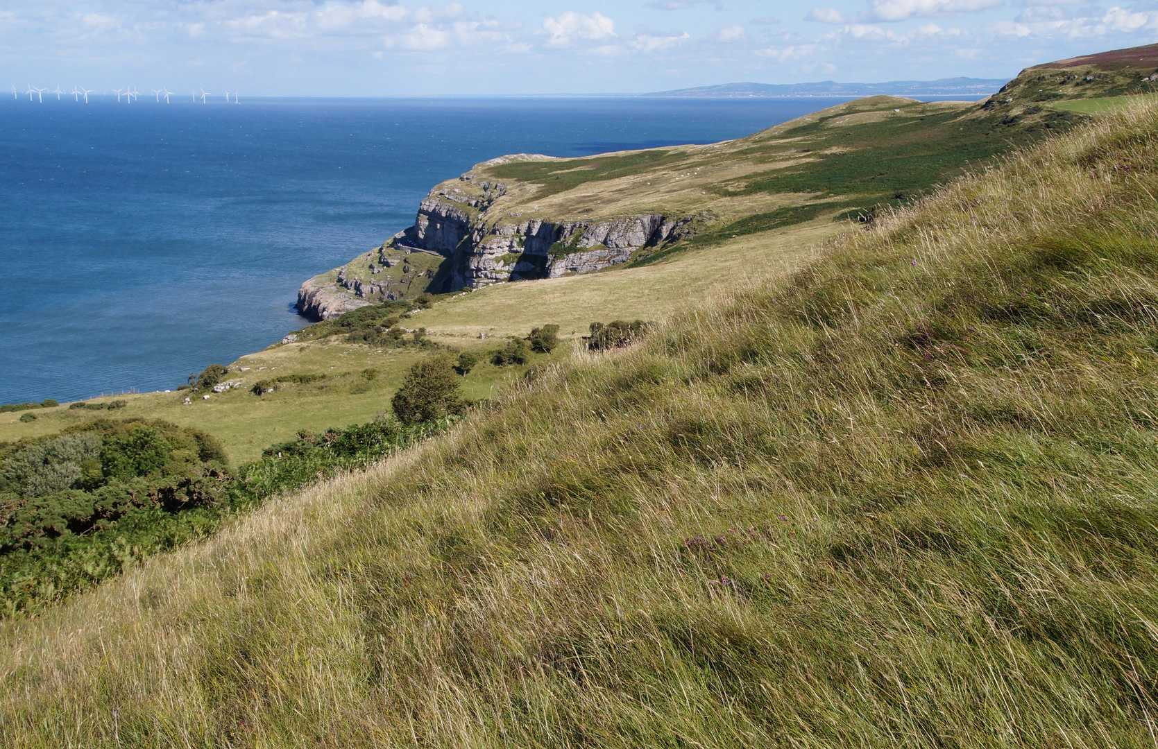 An image depicting the trail Great Orme and Country Park - Llandudno - Short Route and its surrounding area.