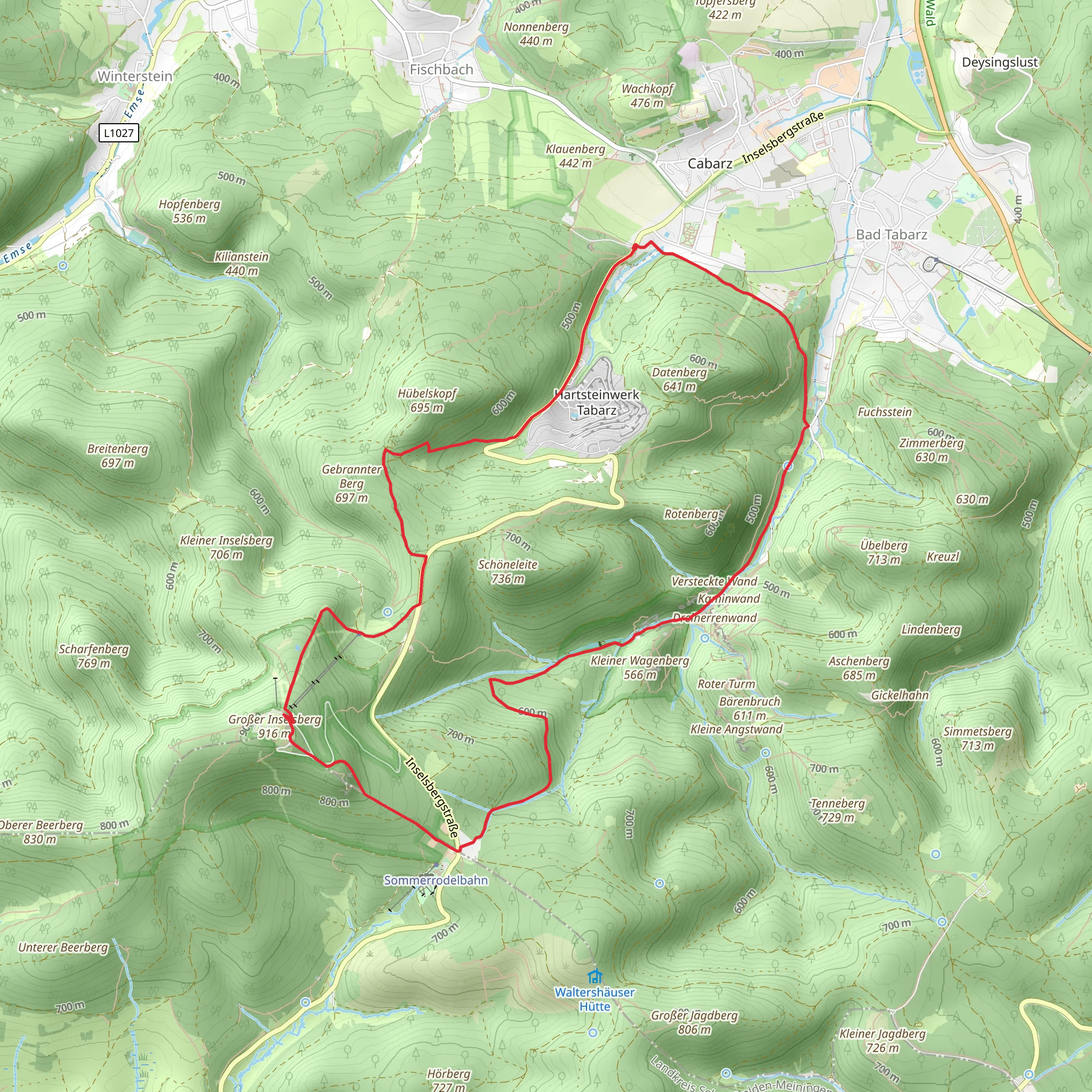 Großer Inselberg Loop via Inselsbergtour mobile static map