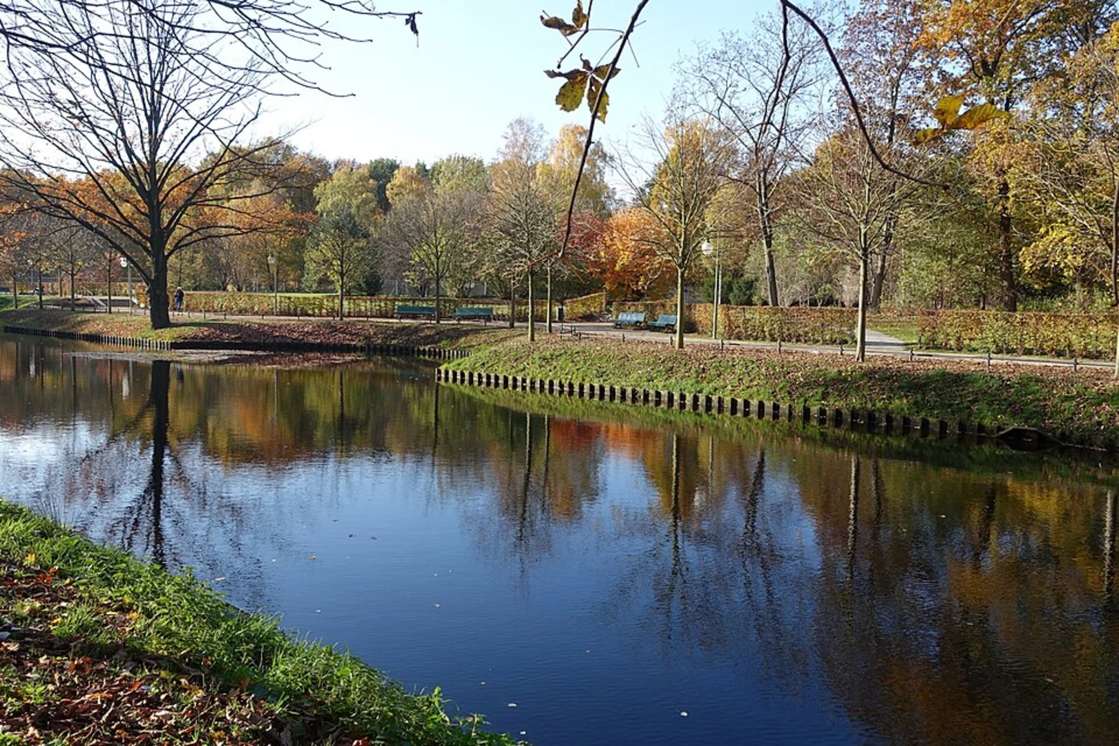 An image depicting the trail Neuer See and Spree via Grosser Weg and Spreeweg and its surrounding area.
