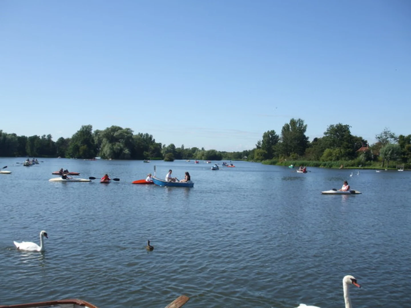 An image depicting the trail Aldeburgh to Westleton Walk and its surrounding area.