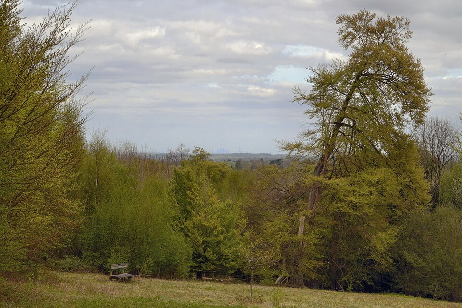 An image depicting the trail Millennium Viewpoint Loop - East Horsley and its surrounding area.