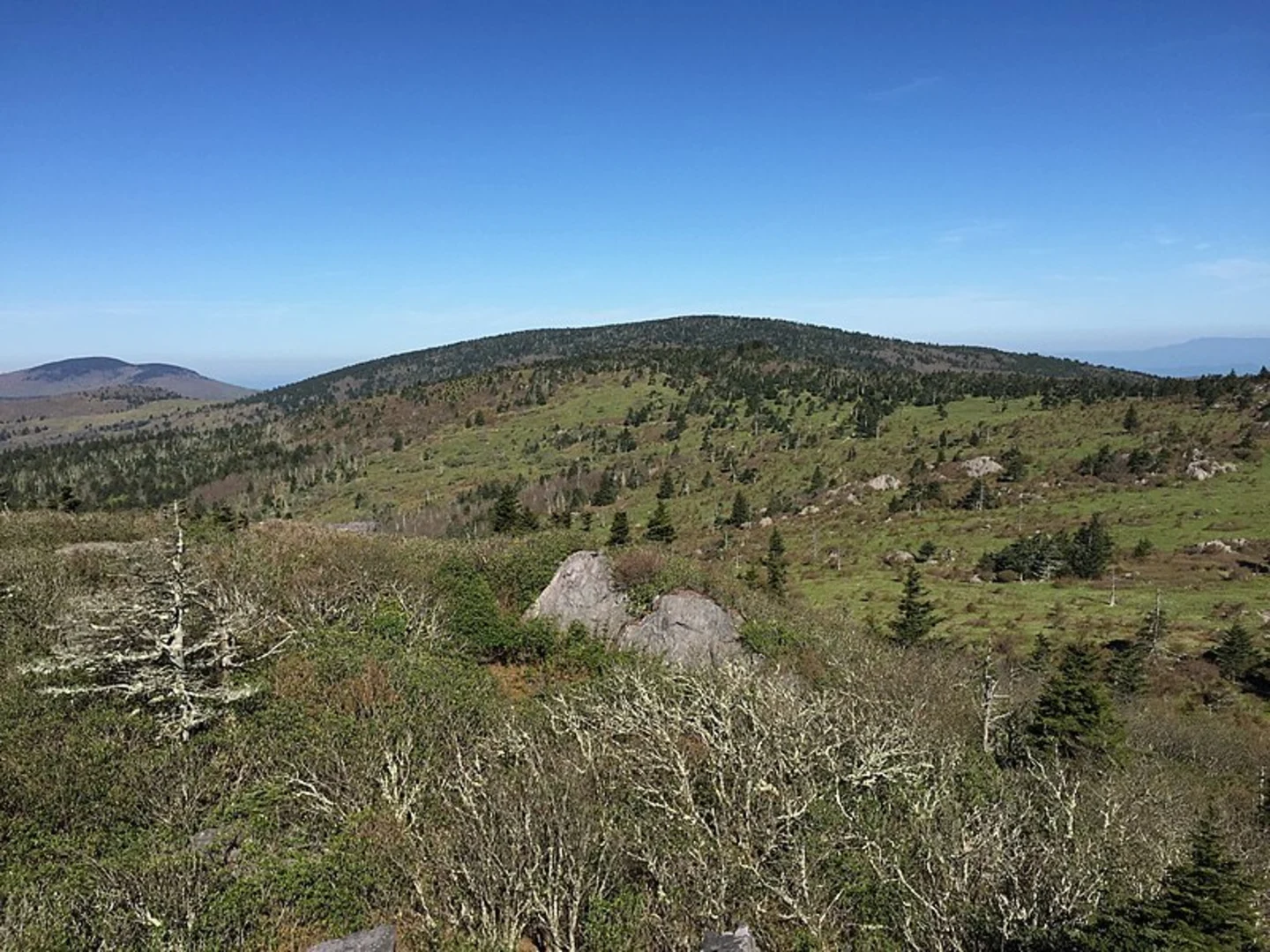 An image depicting the trail First Peak Trail and its surrounding area.