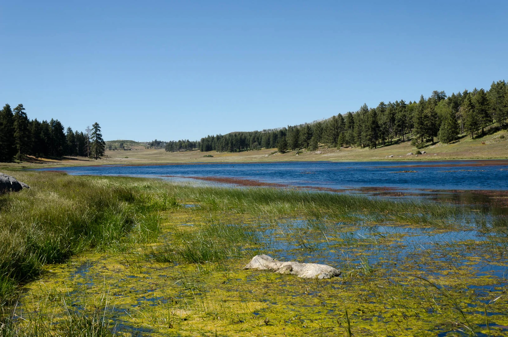An image depicting the trail Water of the Woods Spur and Big Laguna Loop Trail and its surrounding area.