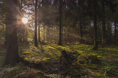 Urk to Houtmolen via Ijsselmeer