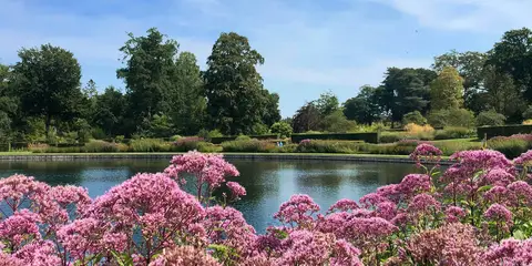 An image depicting the trail Crouch Valley Trail and its surrounding area.