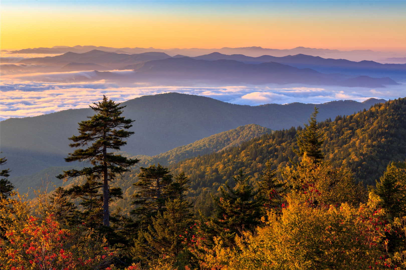 An image depicting the trail Jonas Creek via Appalachian Trail and its surrounding area.