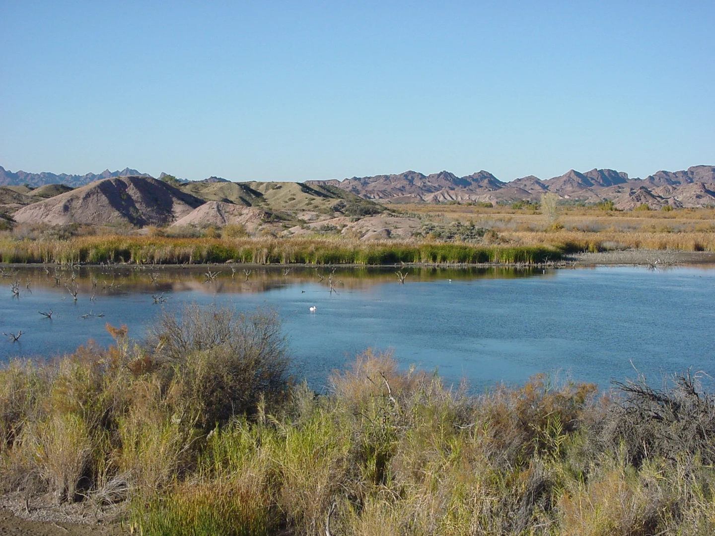 An image depicting the trail Picacho Road and its surrounding area.