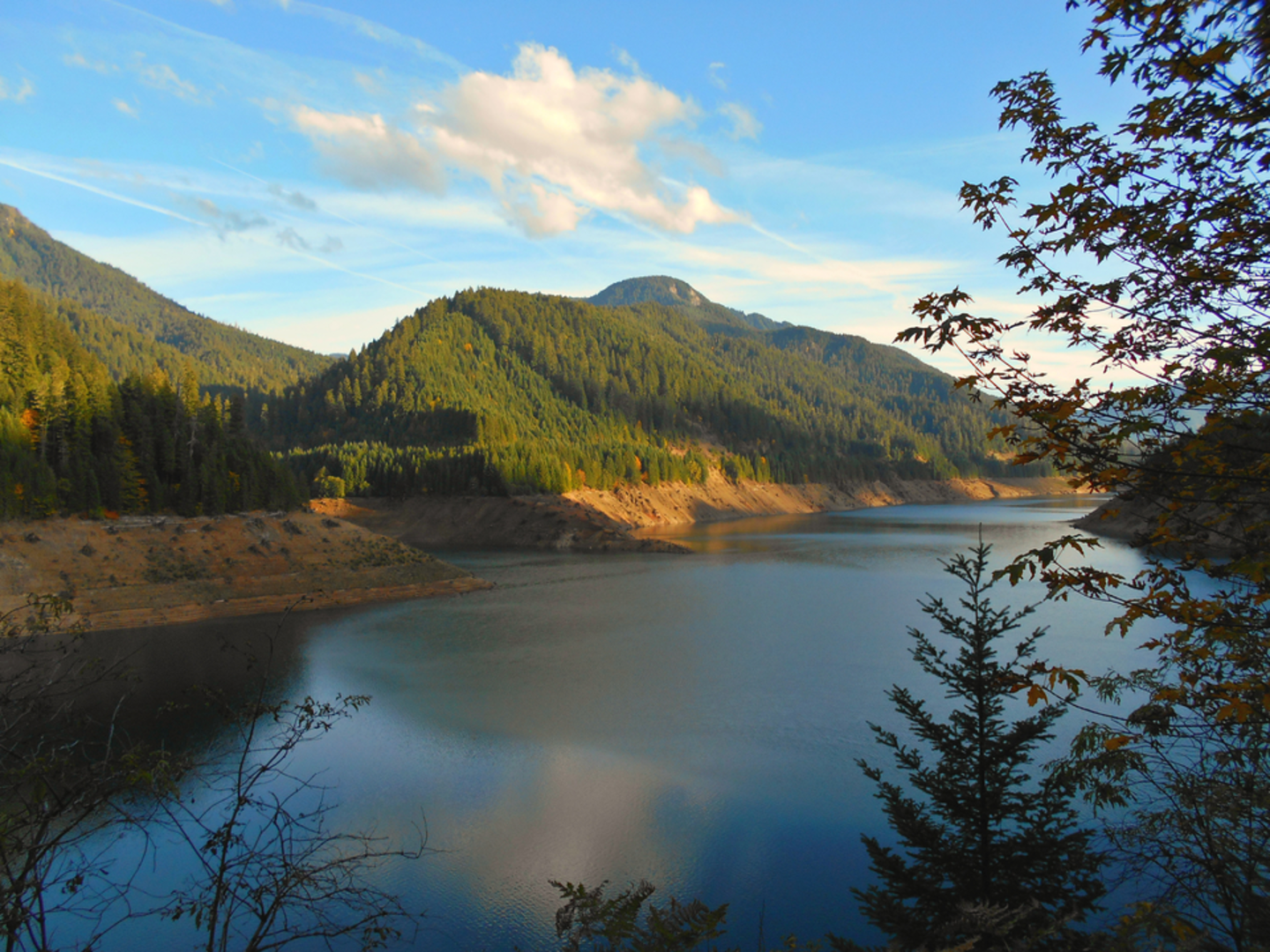 An image depicting the trail Rider Creek Trail and its surrounding area.