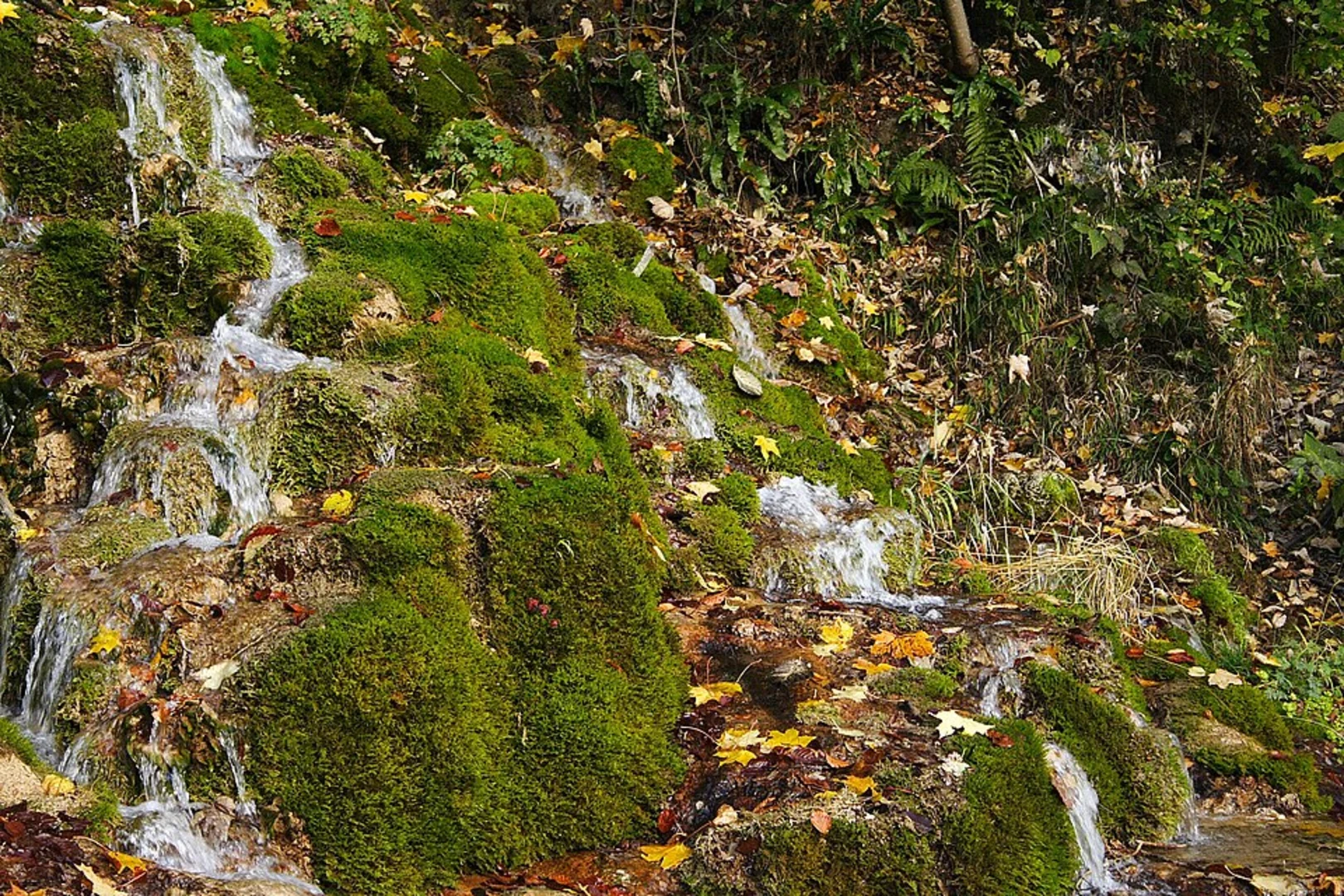 An image depicting the trail Amper and Oberndorfer Altwasser and its surrounding area.