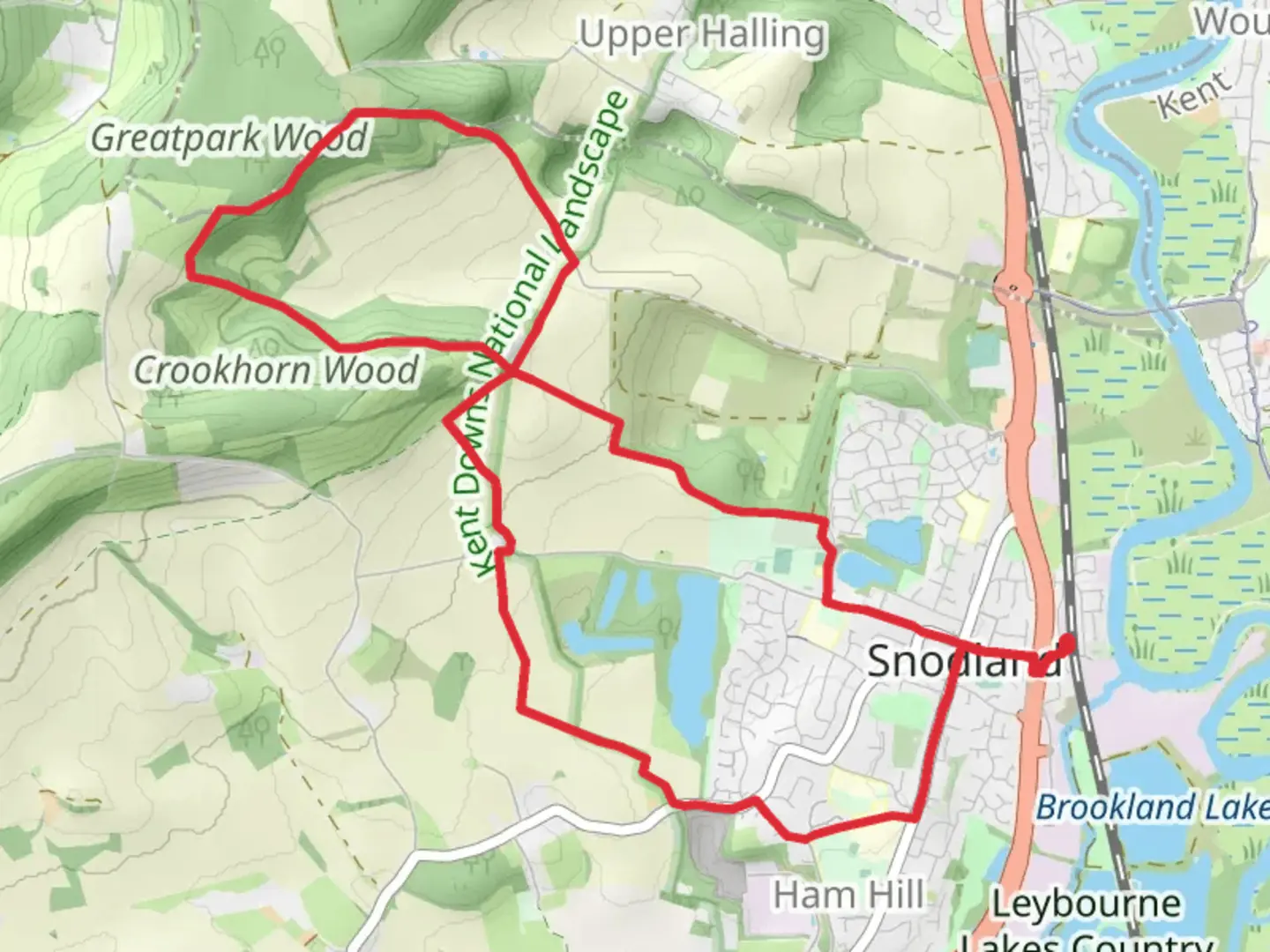 An image depicting the trail Crookhorn Wood and its surrounding area.