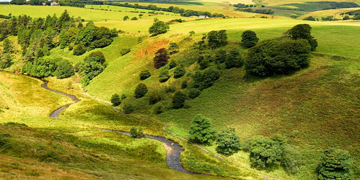 Simonsbath Archaeology Walk