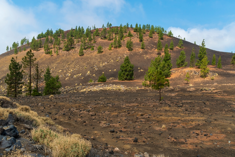 An image depicting the trail S-28 Chafarí and its surrounding area.