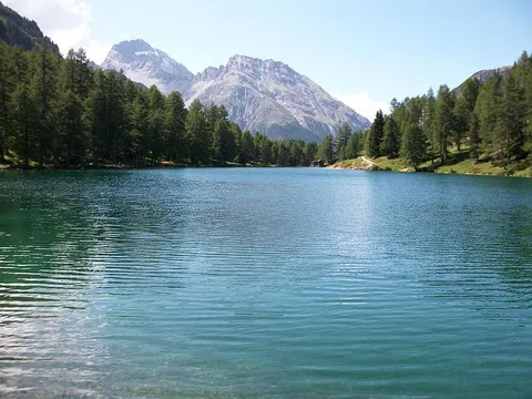 Igl Compass Loop from Preda