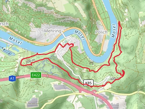 Wassertretbecken Mehring and Aussichtspunkt Felsenkreuzkanzet via Moselsteig