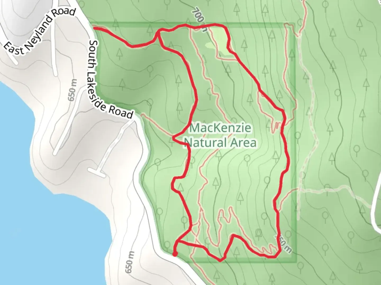 An image depicting the trail Zephyr Connector and Misty Mountain Loop and its surrounding area.