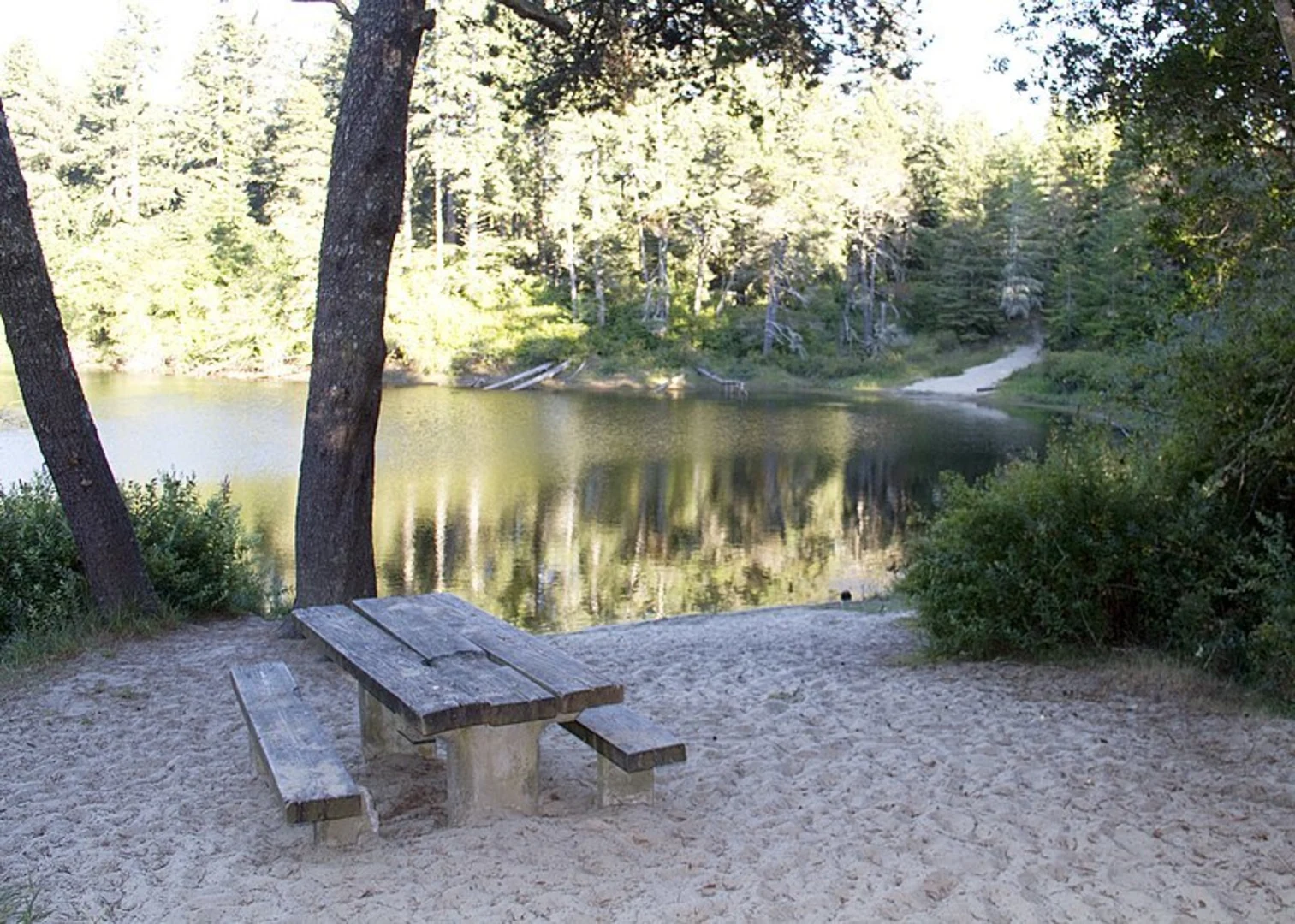 An image depicting the trail Alder Lake Trail and its surrounding area.