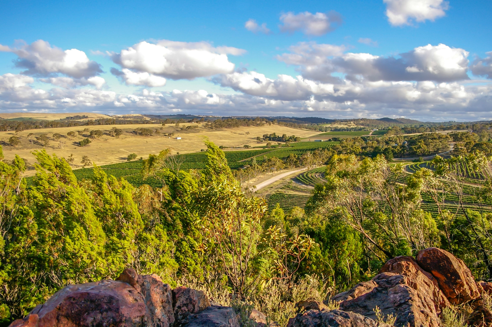 An image depicting the trail Lavender Federation Trail and its surrounding area.