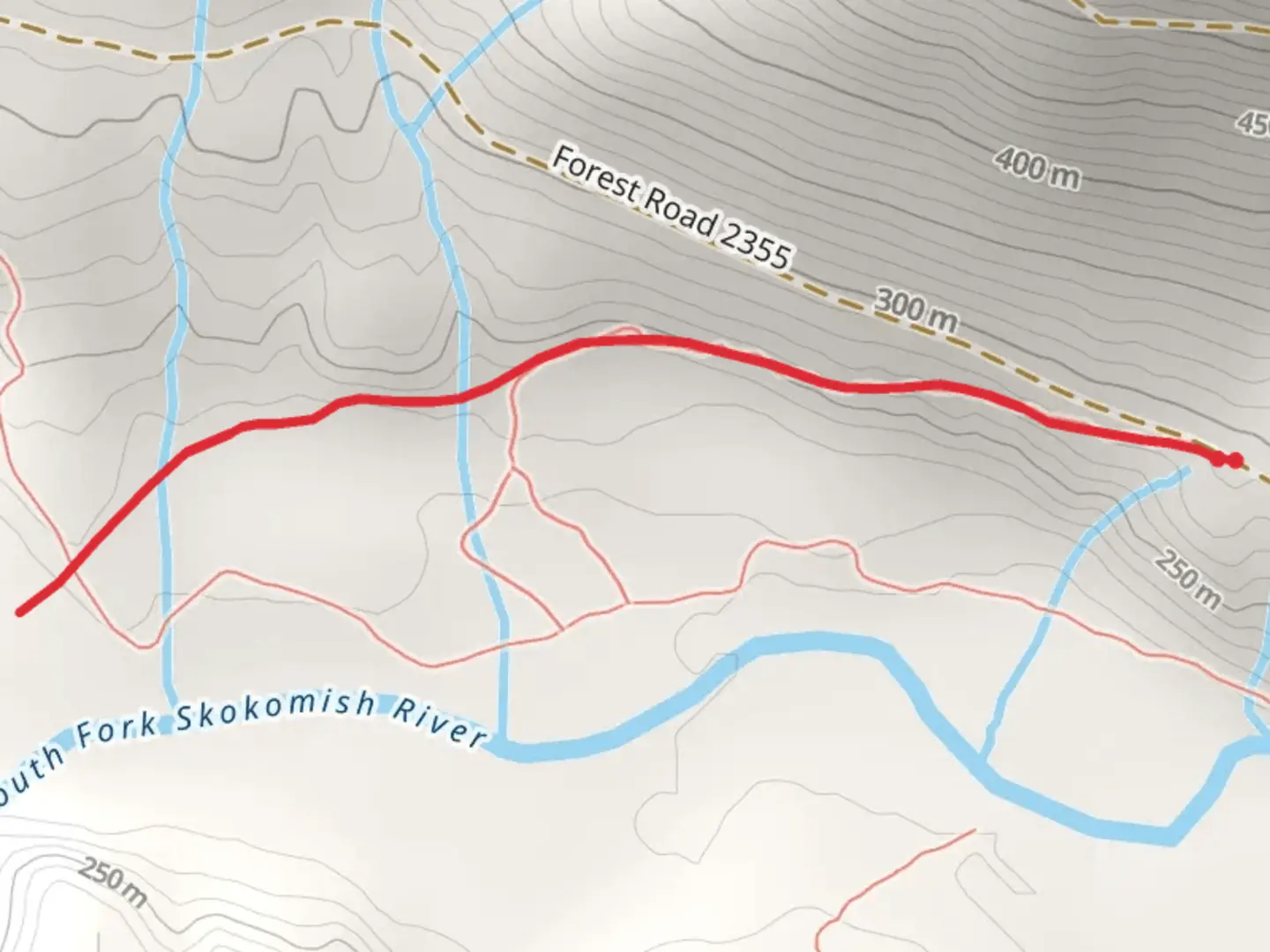 An image depicting the trail Lower SF Skokomish Campcomfort Trail and its surrounding area.