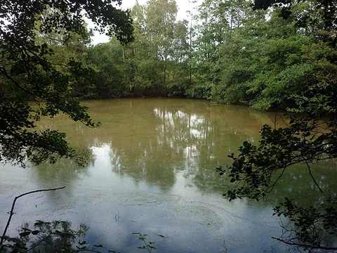 An image depicting the trail Wyresdale Lake and Nicky Nook Loop and its surrounding area.