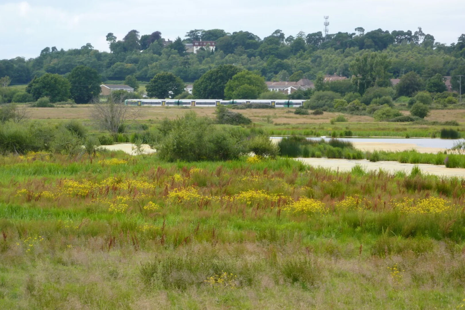An image depicting the trail Houghton, Coldwaltham and Bignor Loop and its surrounding area.