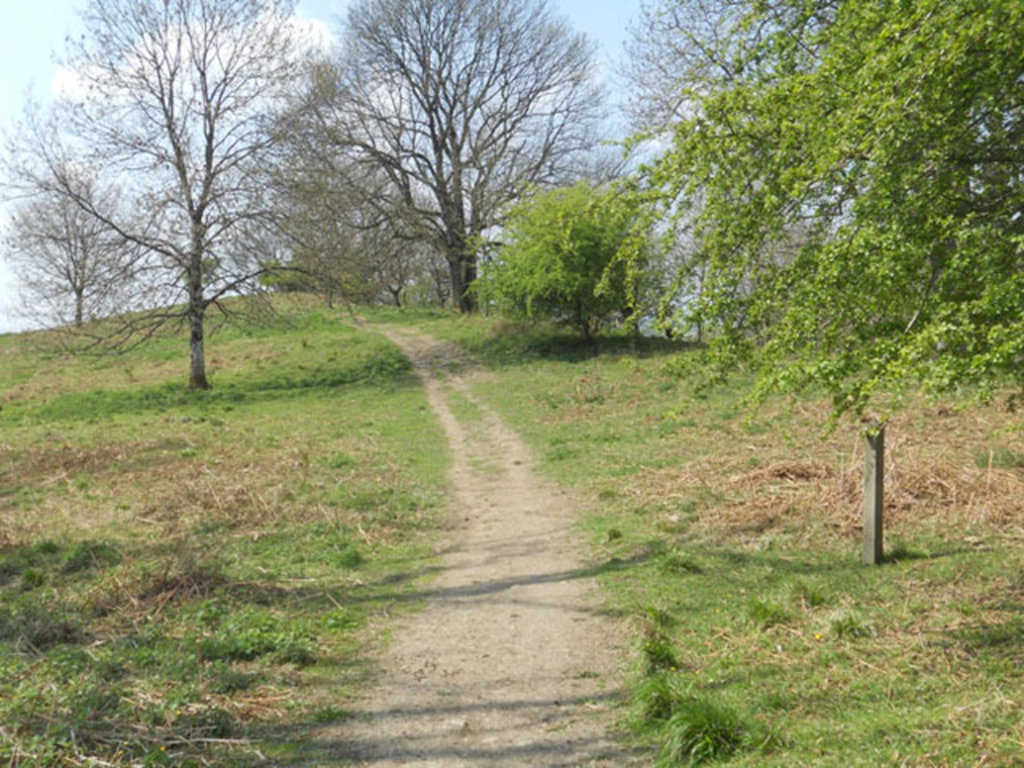 An image depicting the trail Wingmore Loop and Mortimer Trail and its surrounding area.