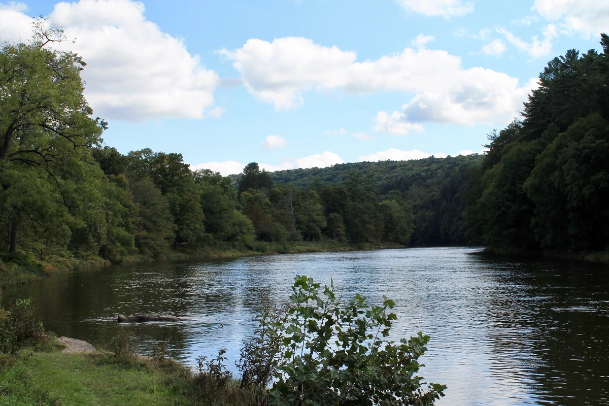 Clarion River from North Road
