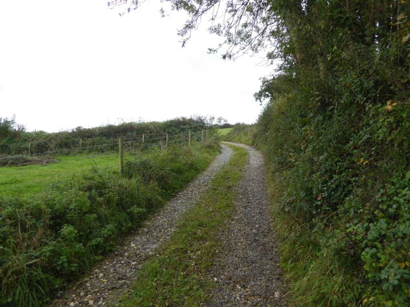 An image depicting the trail Bere Alston Circular Walk and its surrounding area.
