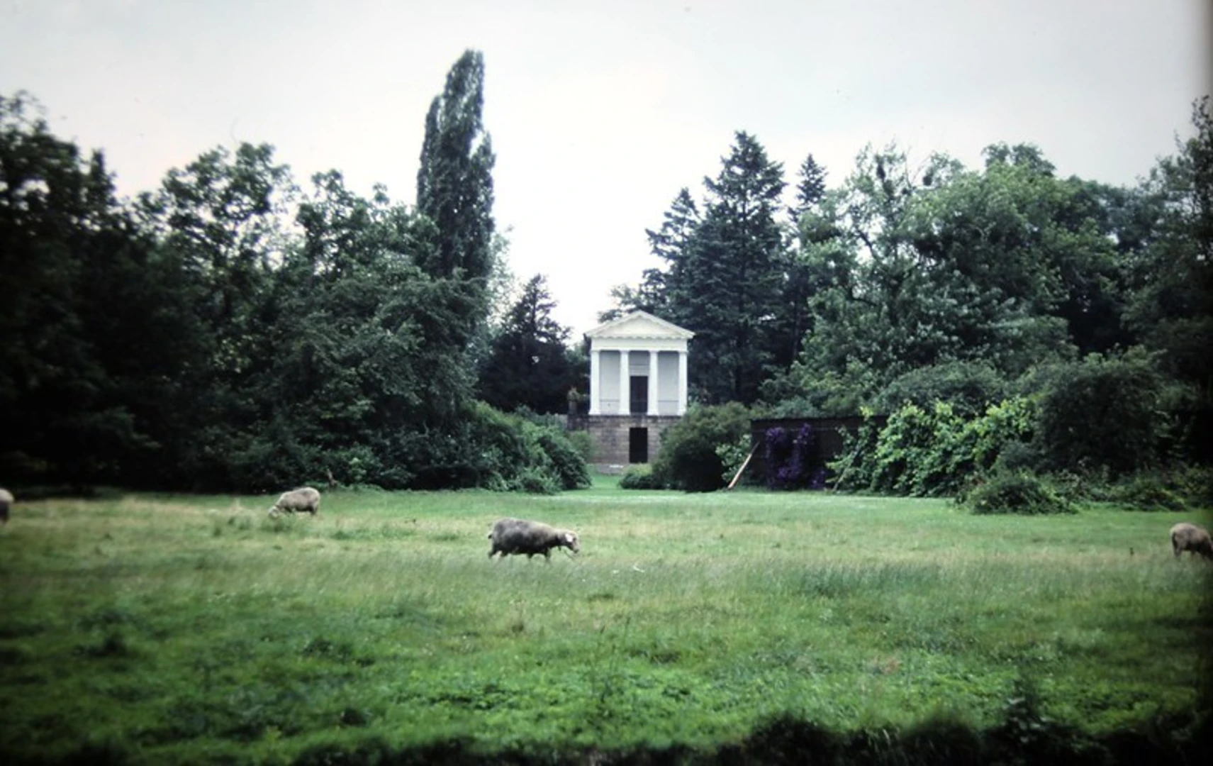 An image depicting the trail Woerlitzer Park, Kleines Walloch and Grosses Walloch Loop and its surrounding area.