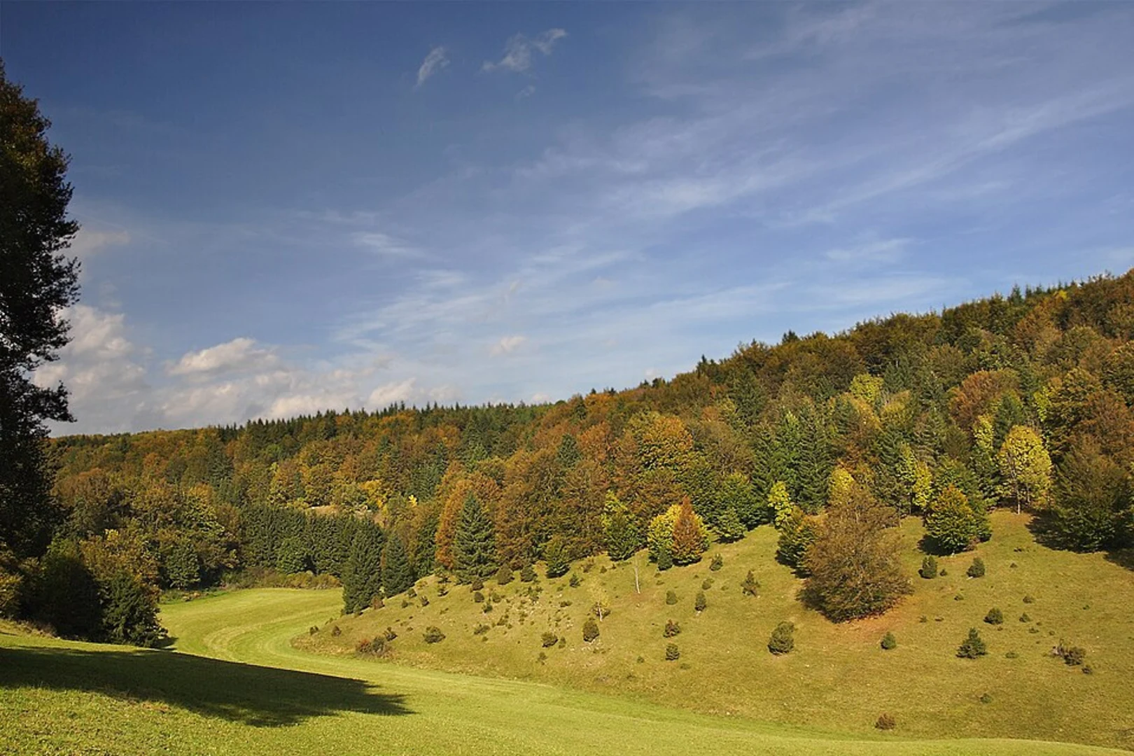 An image depicting the trail Nimberg Loop and its surrounding area.