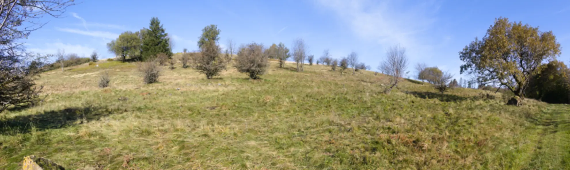 An image depicting the trail Gackerstein and Bilstein Loop via Gipfeltour Schotten and its surrounding area.
