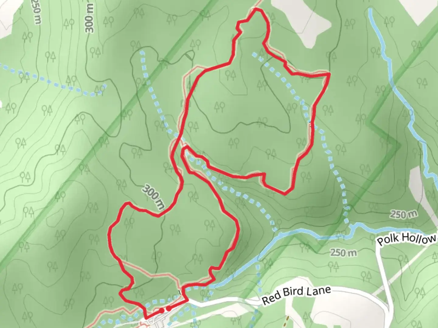 An image depicting the trail Hoggard Loop Trail and its surrounding area.