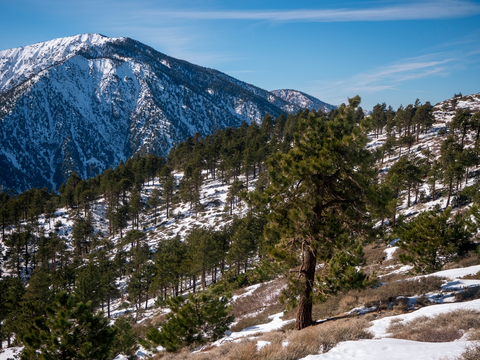 An image depicting the trail Prairie Fork Trail and its surrounding area.