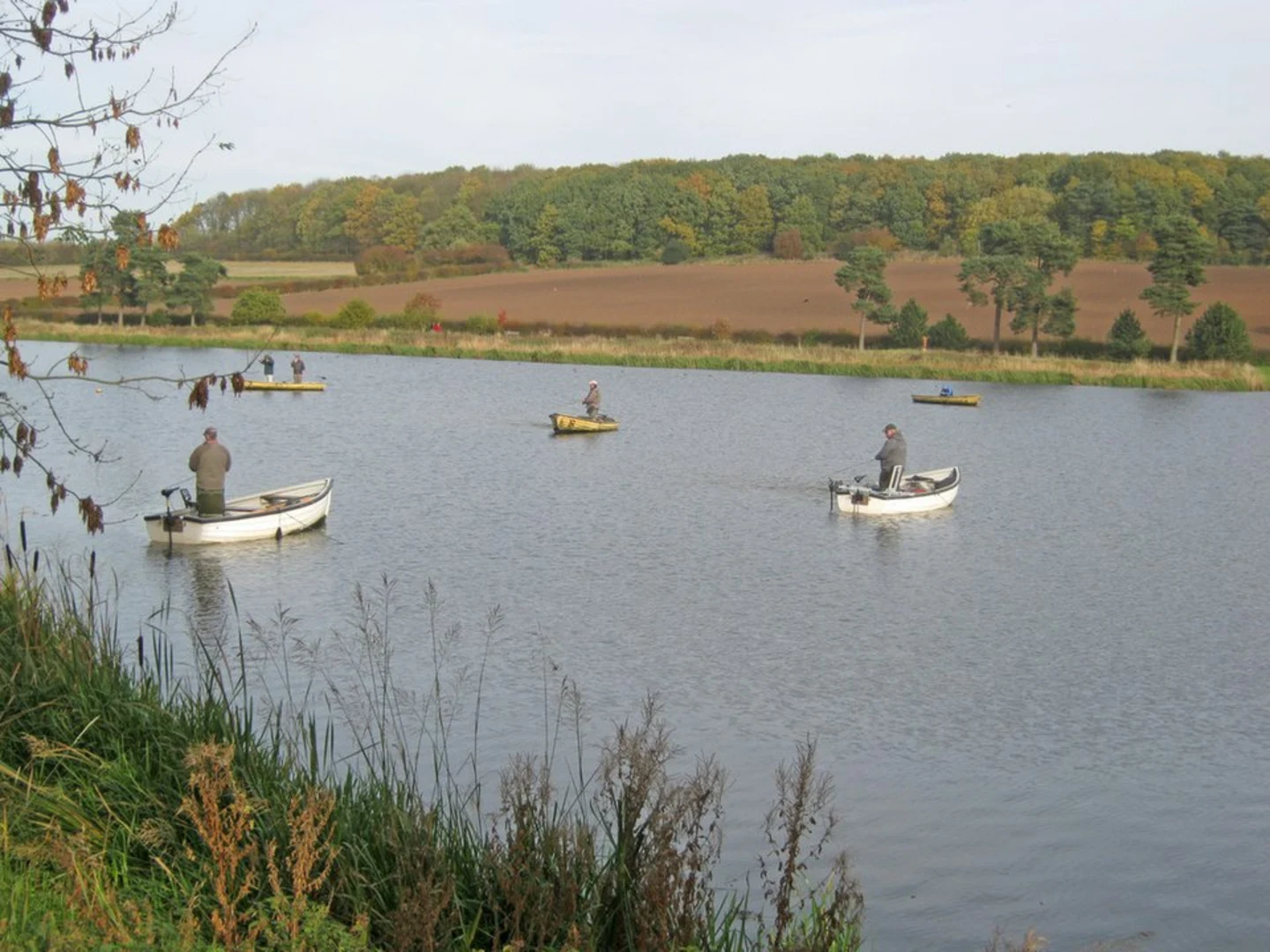 An image depicting the trail Thornton Reservoir and Bagworth Heath Woods Loop and its surrounding area.