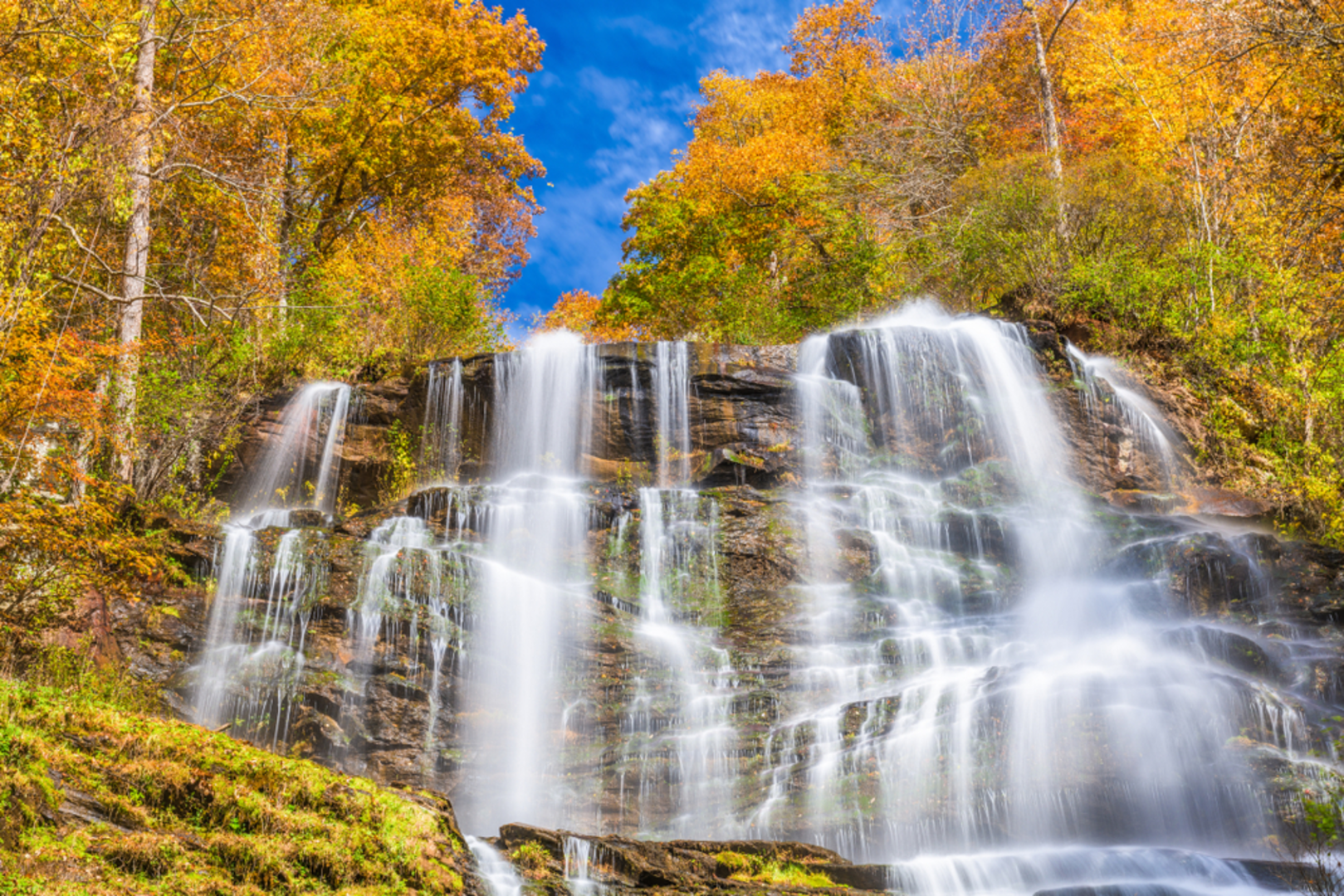 An image depicting the trail Amicalola Falls Lodge Road and its surrounding area.