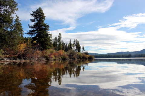 An image depicting the trail Boyscout Trail A and its surrounding area.